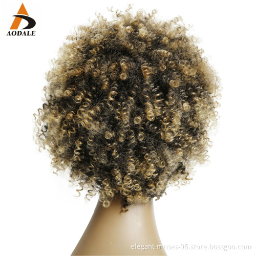 Popular African Natural Synthetic curly Hair Lace Front Wigs Brown Wig afro curl spring twist synthetic hair wig for black women